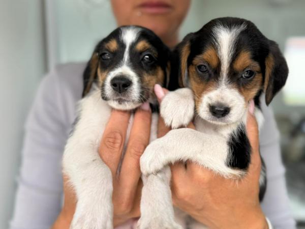 Dzien_dziecka_2
