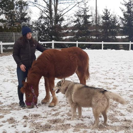 74feb3d4-122c-4cd5-89e2-f8ce25913b41_Gutek