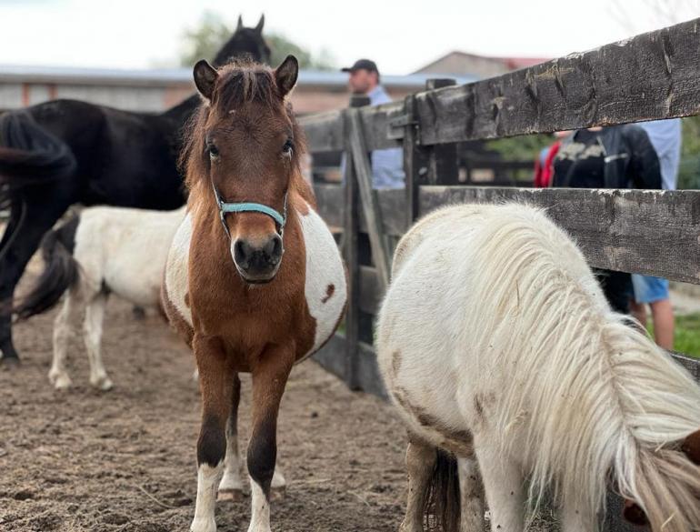 2023_10_25_Dni Otwarte edycja jesienna