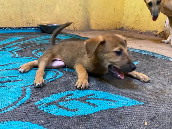 Roki (6)