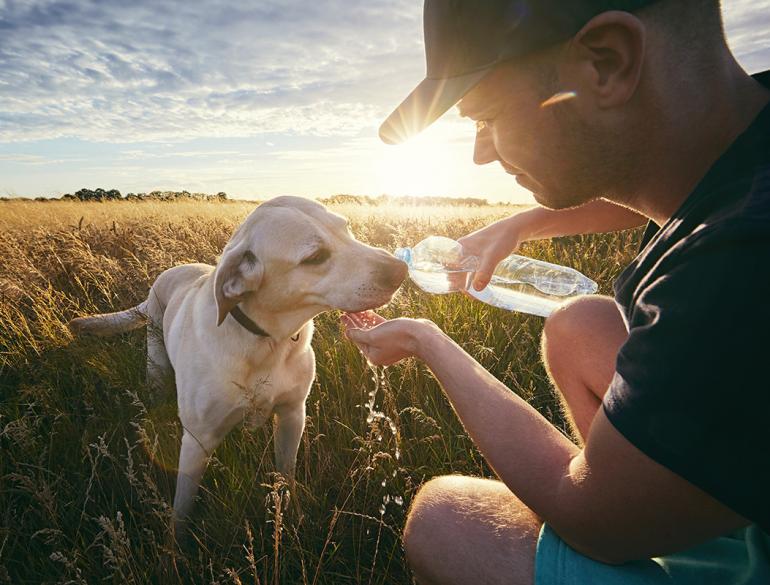 mordercze_temperatury