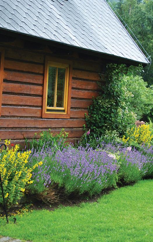 zabezpiczyc_dom_przed_insektami