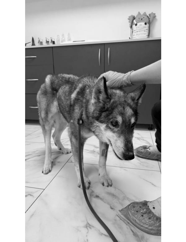 Freja-byla_z_nami