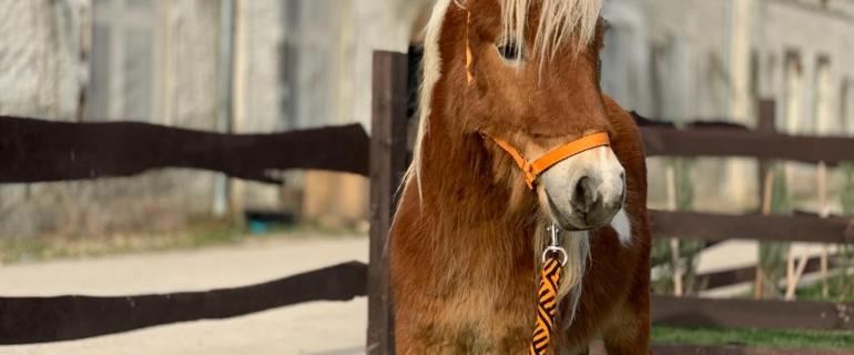 c0f4a3f5-582d-4fa9-a055-4f547cde0eea_Franek