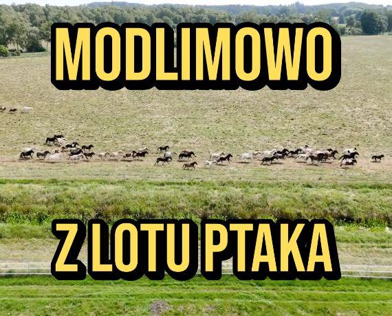1. MODLIMOWO Z LOTU PTAKA