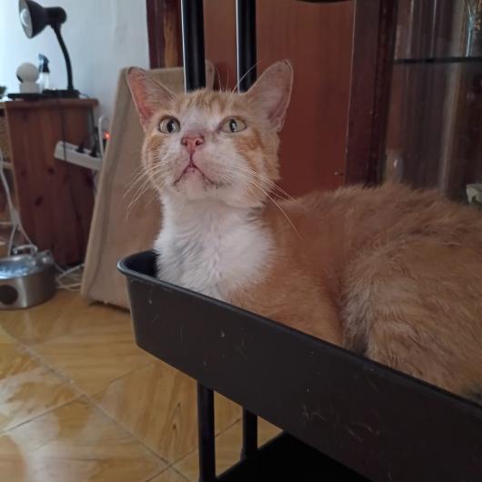Rubio_pomoglismy