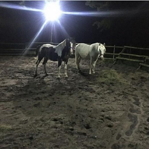 Screenshot_20200831-084901_Messages