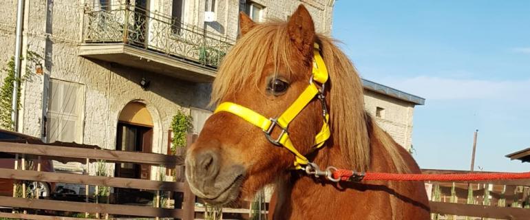 353fb0f1-b4db-4005-abf1-e587c9b2c0ce_Okruszek