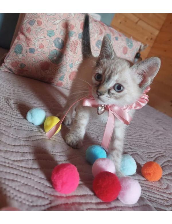 Mandy_pomoglismy