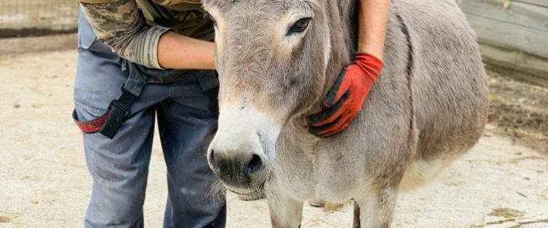 6de26e85-7d57-4f13-b12b-37877997724d_Marusia