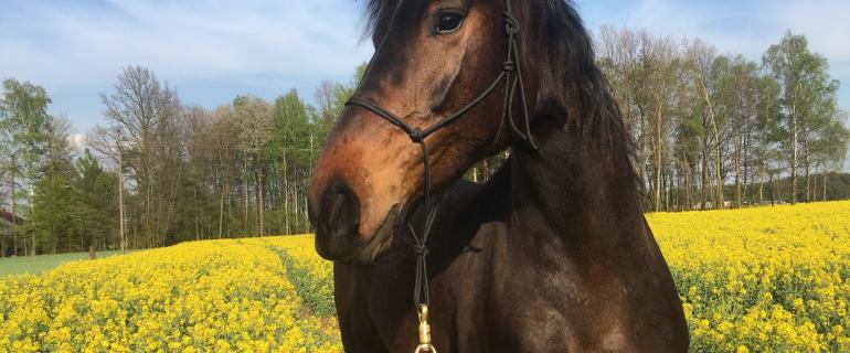 Filemona_Skaryszew_07