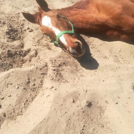 d3715389-6903-4c80-99e2-7fb7b306110b_Cimma (1)