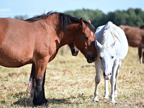 czy-tez-tesknicie126