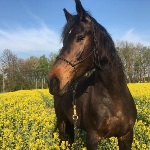 Filemona_Skaryszew_07