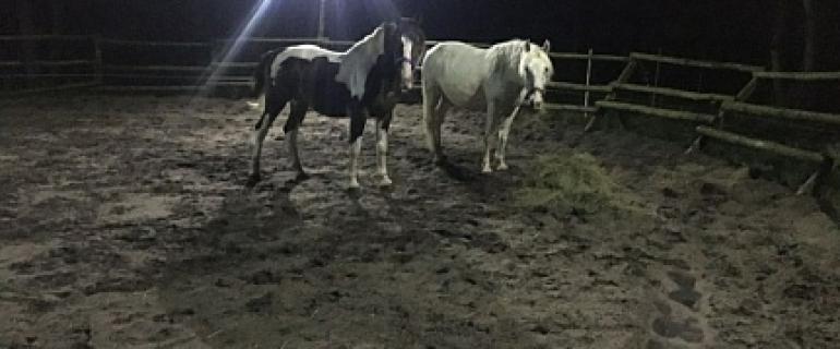 Screenshot_20200831-084901_Messages