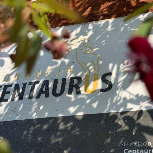 92492475_3741814475889542_7880361425825169408_o