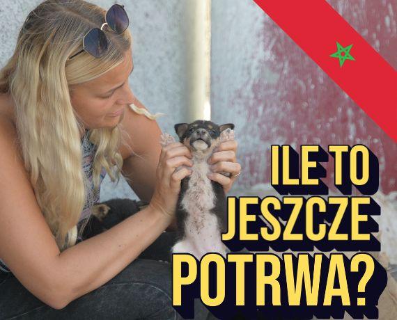 2. Misja Maroko - Reportaż Centaurusa