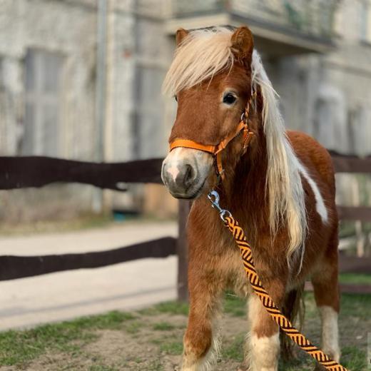 ea92655b-687d-4137-bb94-b2cdbe89c079_Franek