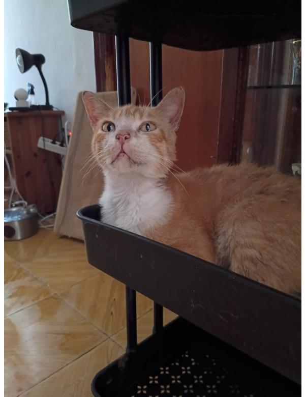 Rubio_pomoglismy