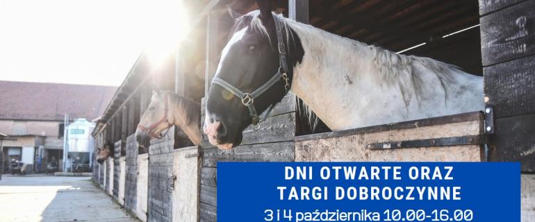 120025043_4457467384324244_3771316957610393718_o