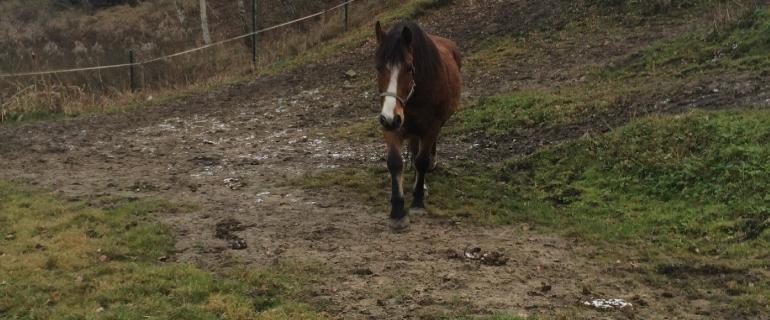 b37fdb5b-c1db-431f-841b-51875595e259_Maciek