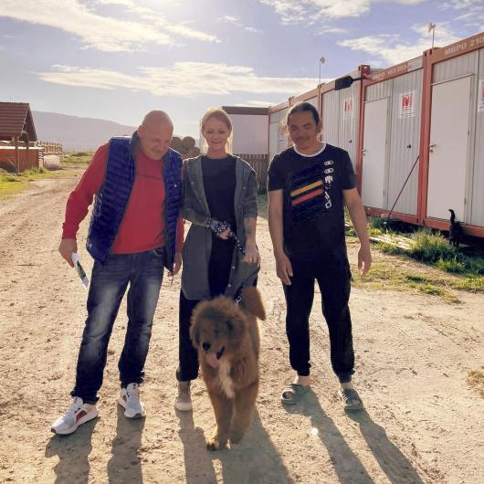 Aros_w_adopcji
