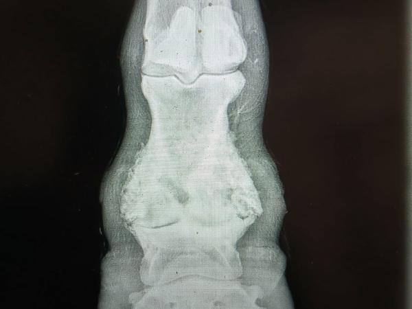 Rami-27