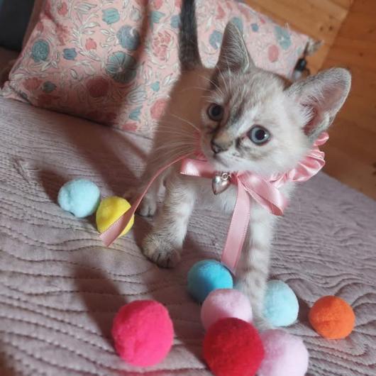 Mandy_pomoglismy