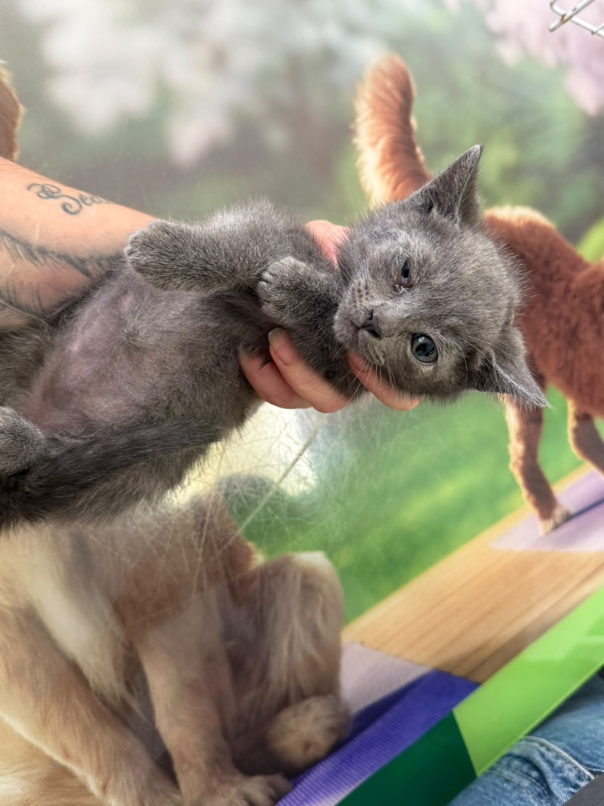 Tom_i_Jerry-15.jpeg