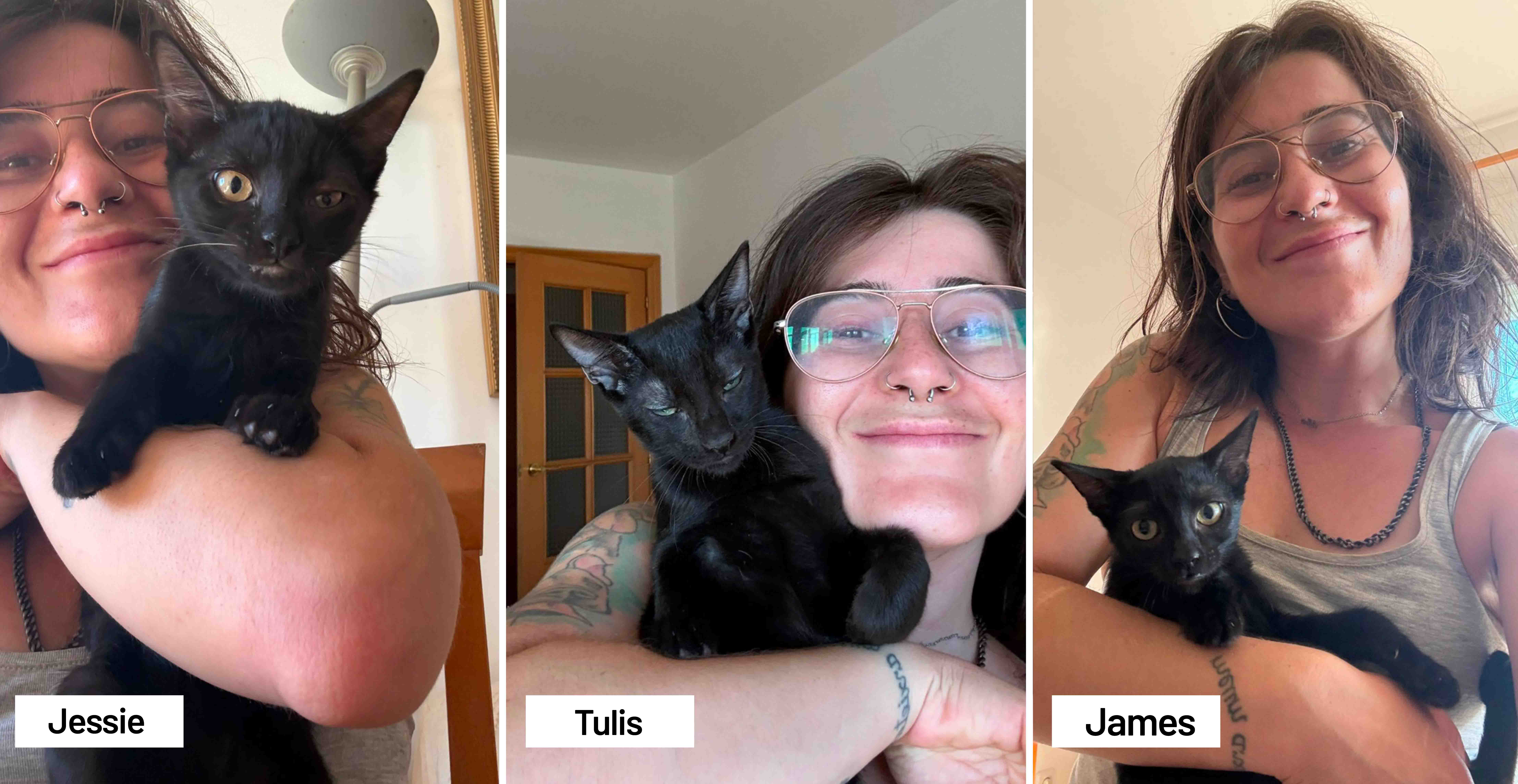 Jessie_Tulis_James_pomoglismy.jpg