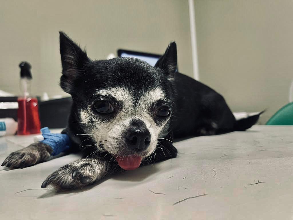 Miki (7).jpeg