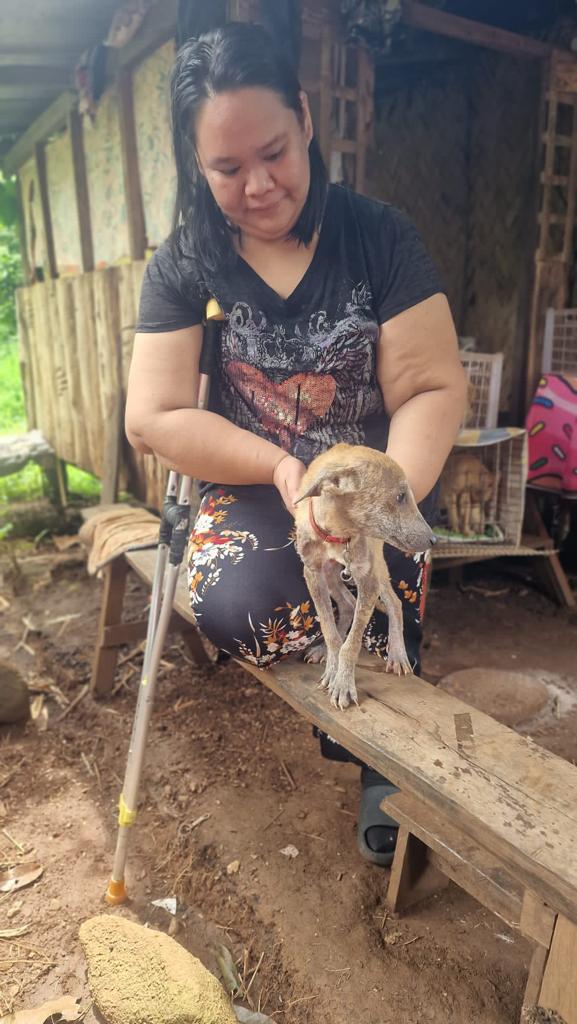 Pumba (20).jpeg