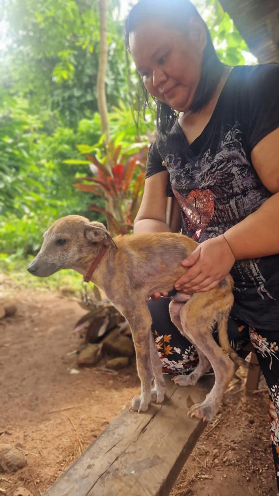 Pumba (21).jpeg