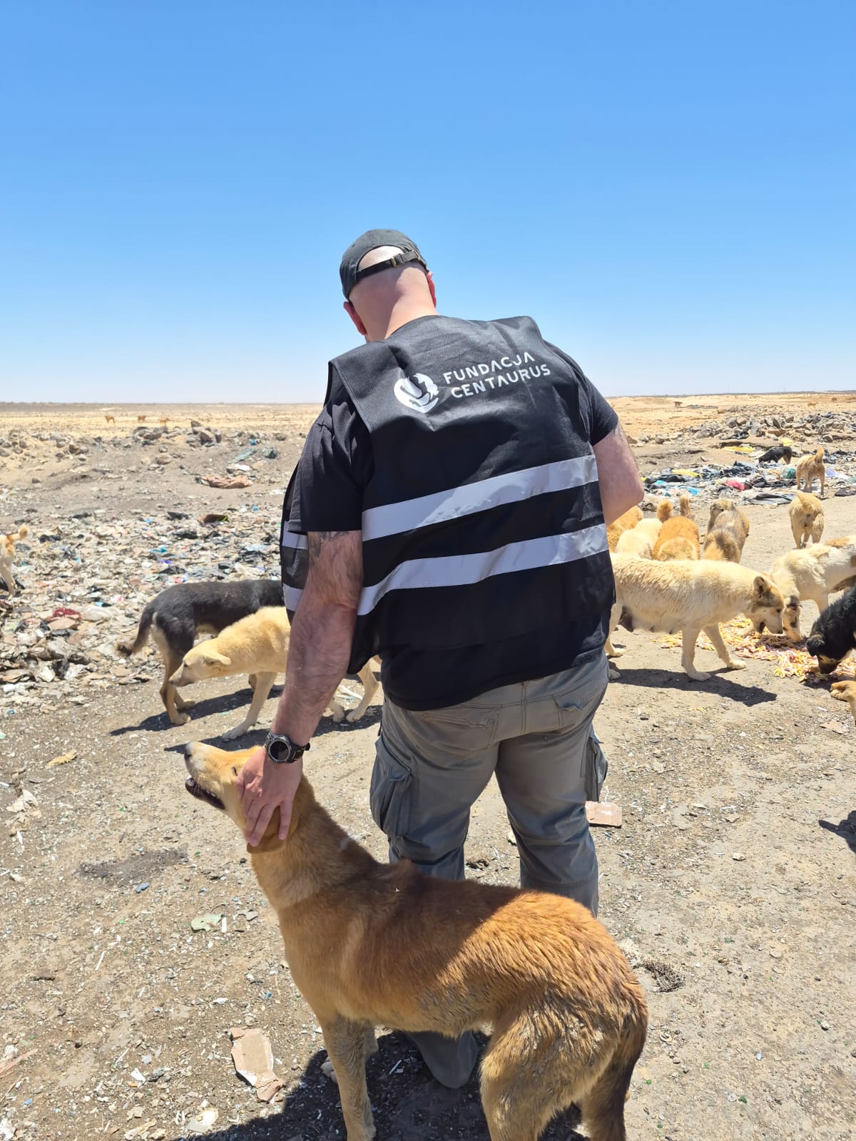 Jordania-2.jpg