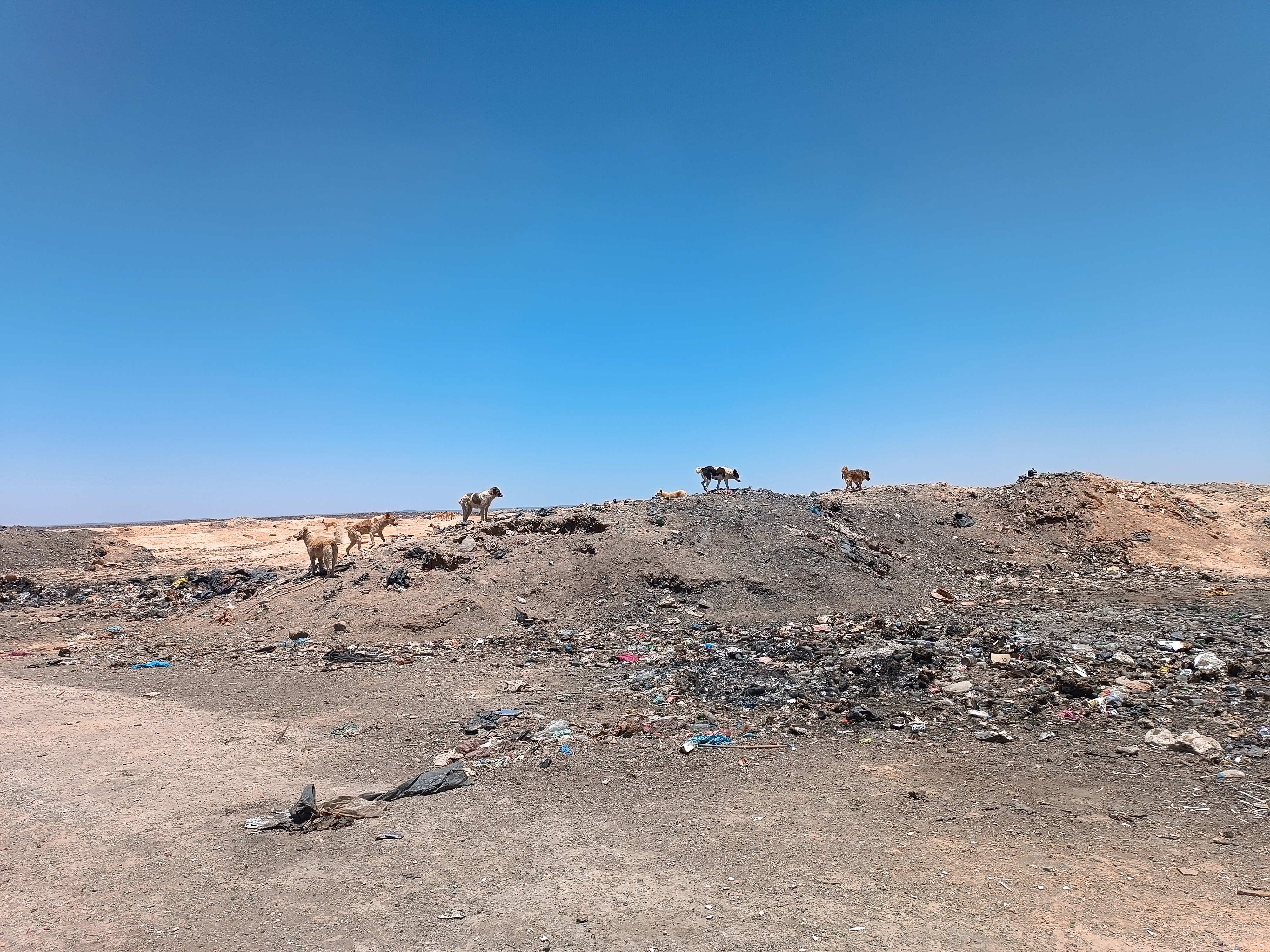 Jordania-9.jpg