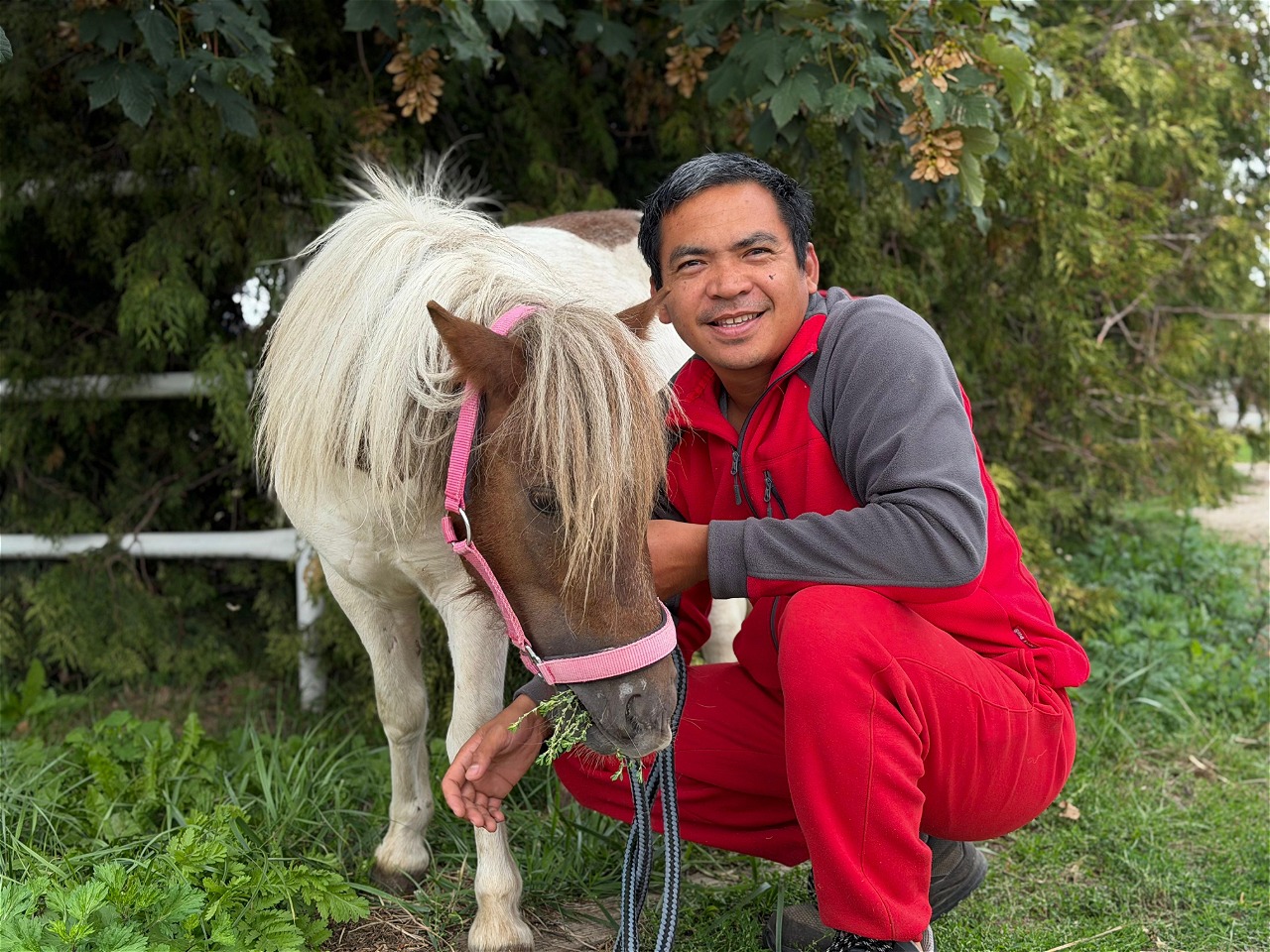 Miki-uratowany.jpeg