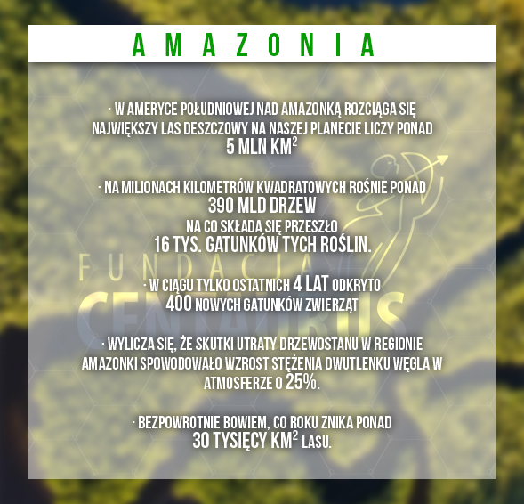 Stop_wylesianiu_amazonii-info.png