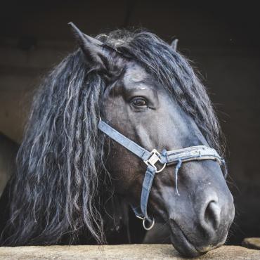 2020 — Rozpoczynamy procedury adopcyjne w Hiszpanii
