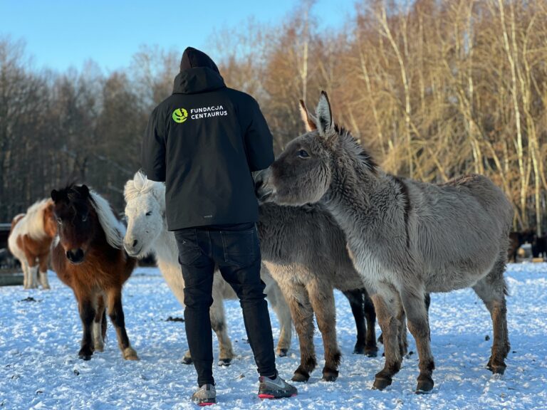 zima-2026-01-derki-7