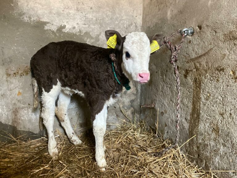 whatsapp-image-2026-01-19-at-21-01-05-5