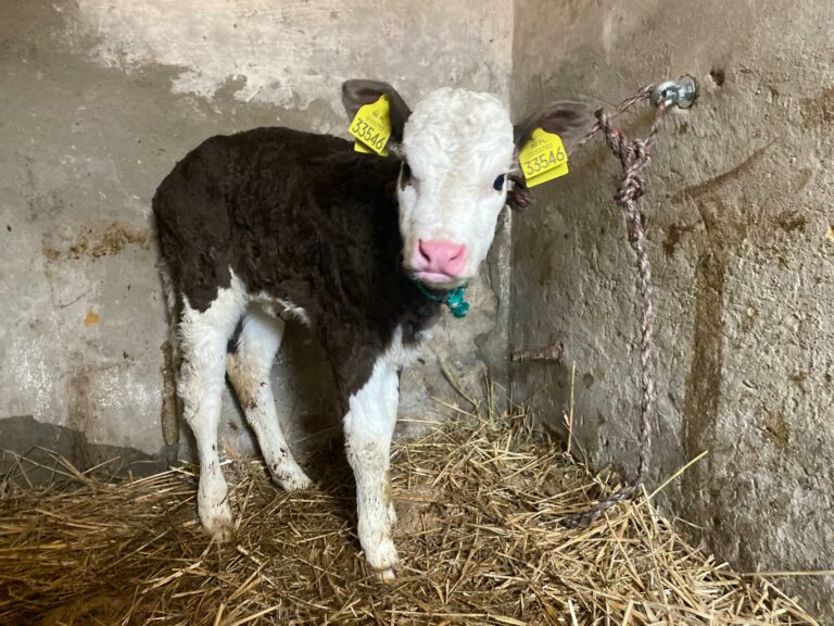 whatsapp-image-2026-01-19-at-21-01-05-6