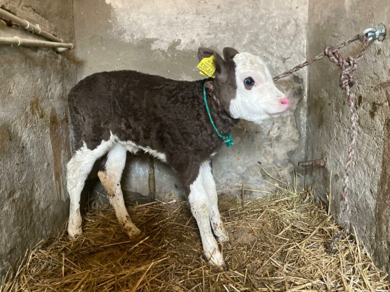 whatsapp-image-2026-01-19-at-21-01-06-3