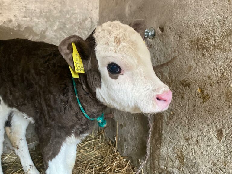 whatsapp-image-2026-01-19-at-21-01-06-6