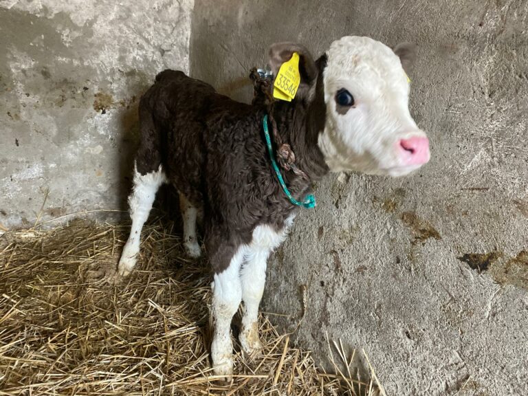 whatsapp-image-2026-01-19-at-21-01-06