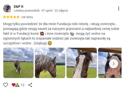 Zrzut ekranu 2026-04-23 082204 Zrzut ekranu 2026-04-23 082204