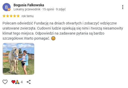 Zrzut ekranu 2026-04-23 082219 Zrzut ekranu 2026-04-23 082219