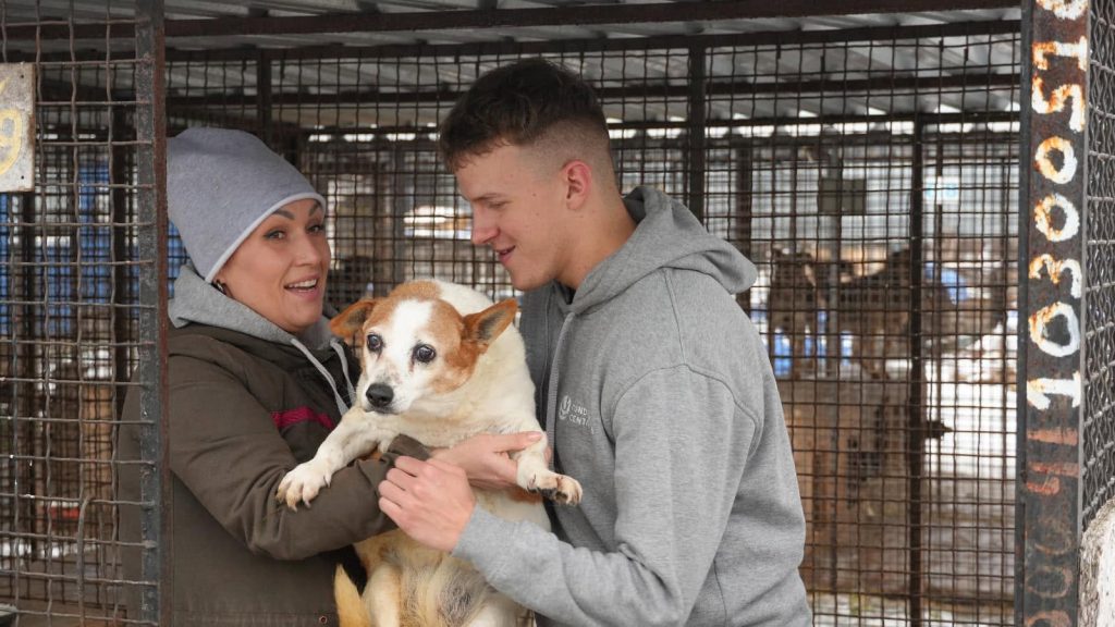Dzięki Wam uratowano tysiące zwierząt na Ukrainie
