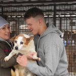 Dzięki Wam uratowano tysiące zwierząt na Ukrainie
