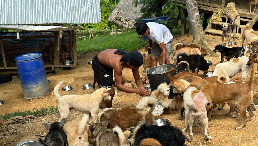 domu na Filipinach