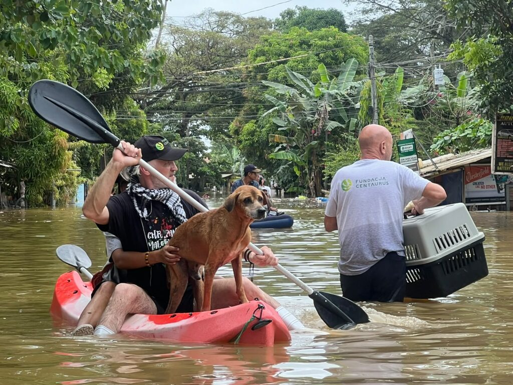 domu na Filipinach